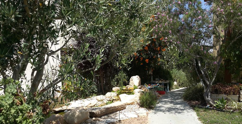 Guy Family Guestroom'S (Adults Only) Midreshet Ben Gurion Oda fotoğraf
